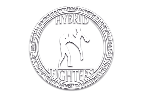 Hybrid Fighters